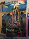 Virgen En Ricardo Rocha