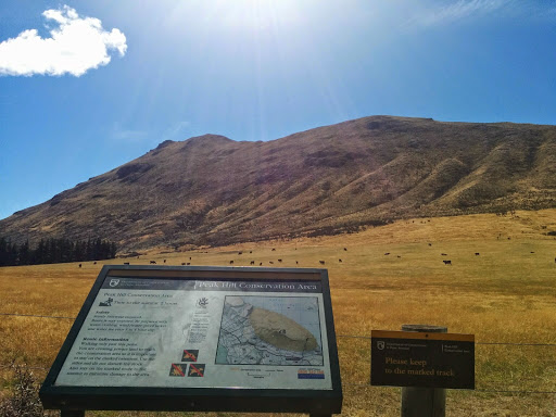 Peak Hill Conservation Area