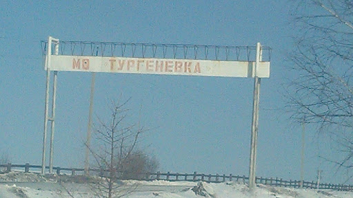 Turgenyevka's Gate