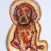 irish_setter.jpg