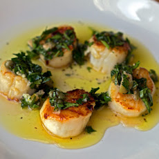 Seared Scallops with Salsa Verde