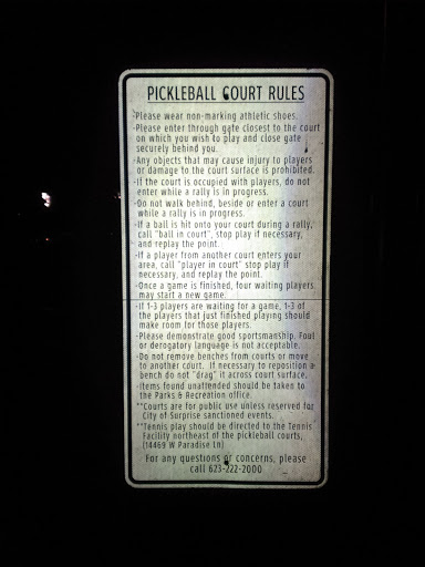 Pickle Ball Rules