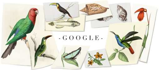 Google Doodle William John Swainson's 224th Birthday