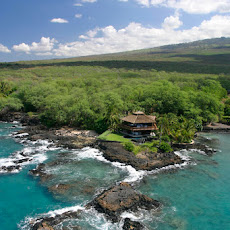 Aloha Beans