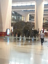 Elephants in Airport
