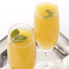 Menning Mimosa