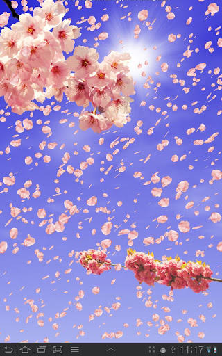 Sakura Live Wallpaper