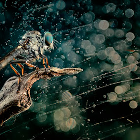 STAND ALONE by Donald Jusa - Digital Art Things ( macro, nature, wildlife, insect, animal )