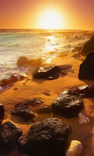 How to mod Sun water and sand 1.3 unlimited apk for pc