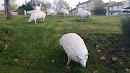 Mézières Sur Issoire, Sheep Statues