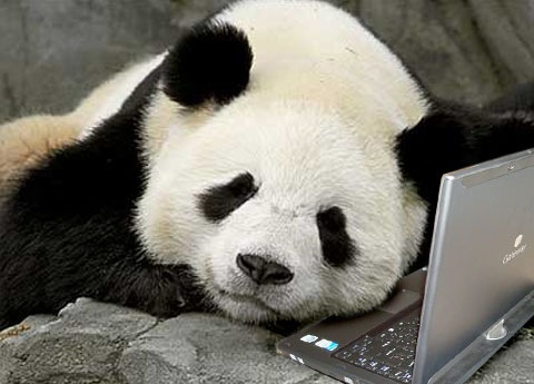 [Panda - Internet is Slow[3].jpg]