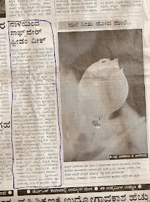 Vijaya Karnataka