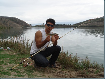 من و اردک ماهی کوچک