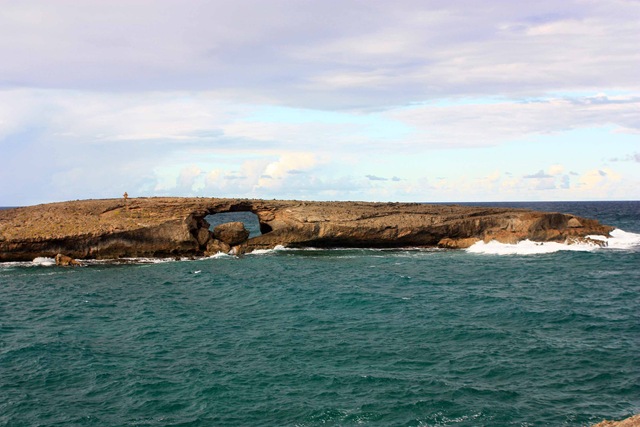 [IMG_2138esmall2.jpg]