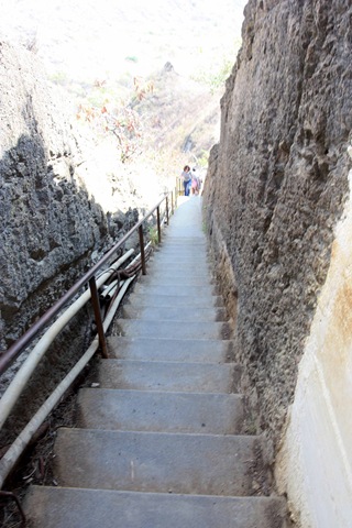 [IMG_2397esmall2.jpg]