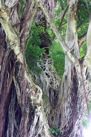 [IMG_2606esmall2.jpg]