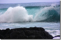 IMG_2725esmall