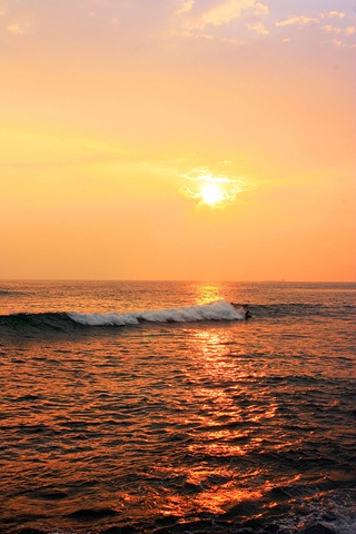 [IMG_2786esmall2.jpg]