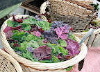 Ferry Plaza Farmers Market