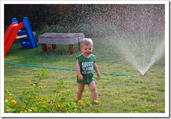 luke sprinkler