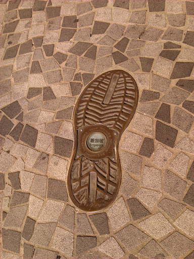 Footprint of Singapore