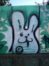 Rabbit Graffiti