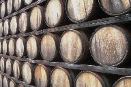 [bourbon3.jpg]
