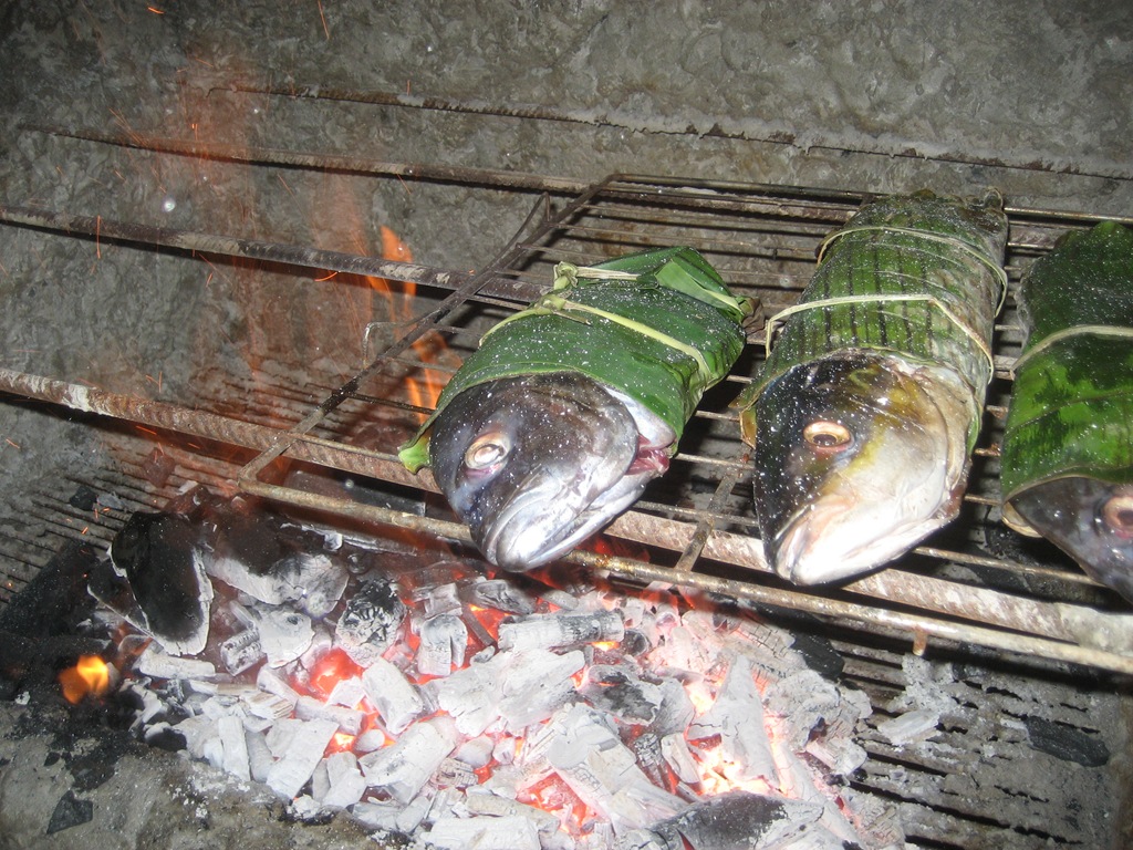 [IMG_55382.jpg]