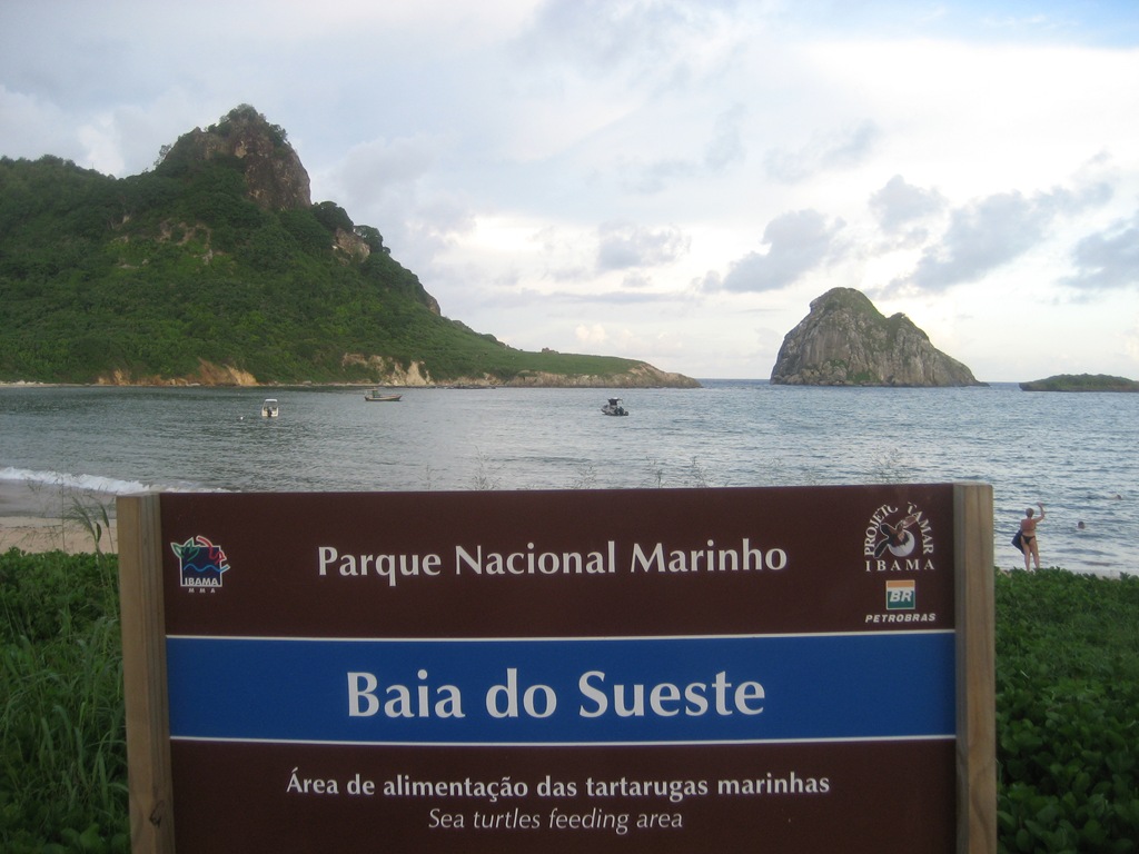 [IMG_55562.jpg]
