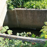 2007-07-29 after the flooding