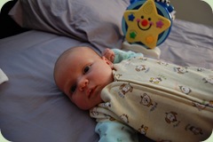 new camera_2575