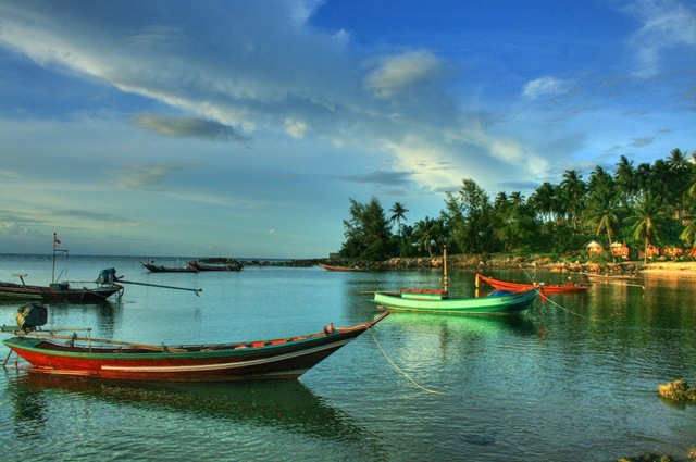 [IMG_4401_2_3[5].jpg]