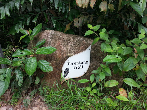 Terentang Trail
