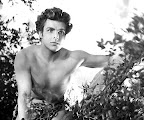 Buster Crabbe as Tarzan, high in a tree