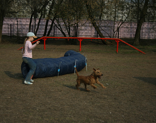 http://lh3.ggpht.com/timusprimus/SADo1BkS7EI/AAAAAAAAAmA/4Fb7ggpF5AQ/dus5.jpg?imgmax=512