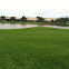 St. Augustine Grass