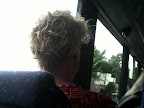Hair that is short, fuzzy and bleached. Taken on a bus