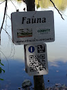 Fauna Point Park Trail