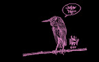 wallpaper_bird_1440x900副本.jpg