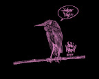wallpaper_bird_1280x1024副本.jpg