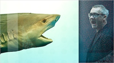 Hirst600 1.jpg