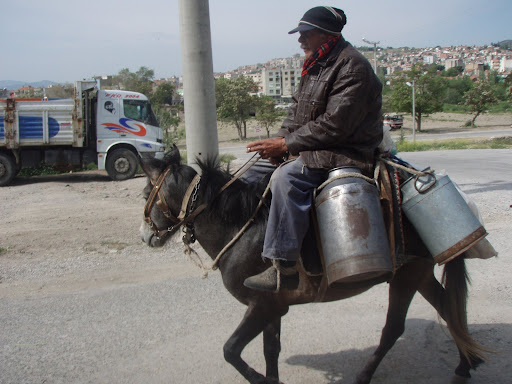 P4260522.JPG?imgmax=512