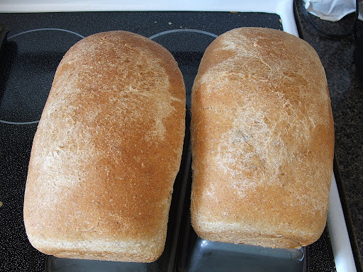 Soaked wheat is ground into a fresh flour for this tasty 100% whole wheat bread.