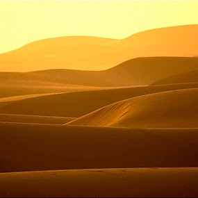 by Darrin James - Landscapes Deserts