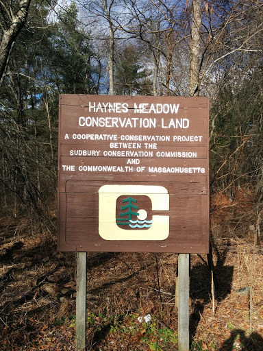 Sudbury Haynes Meadow Conservation Land