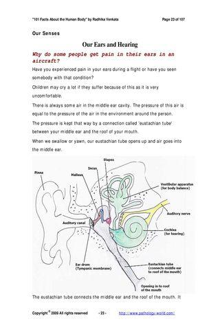 【免費書籍App】101 Facts - the Human Body-APP點子