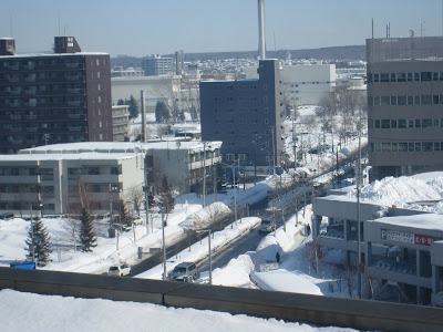 北海道の雪