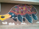 Ornitorrinco Tartaruga