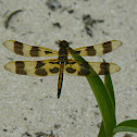 Halloween Pennant