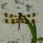 Halloween Pennant